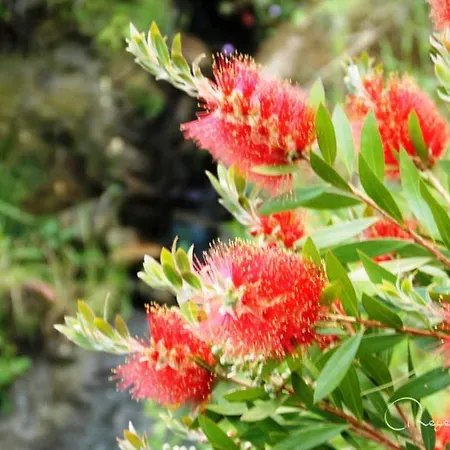 Rurales Les Mestes شقة تازونز